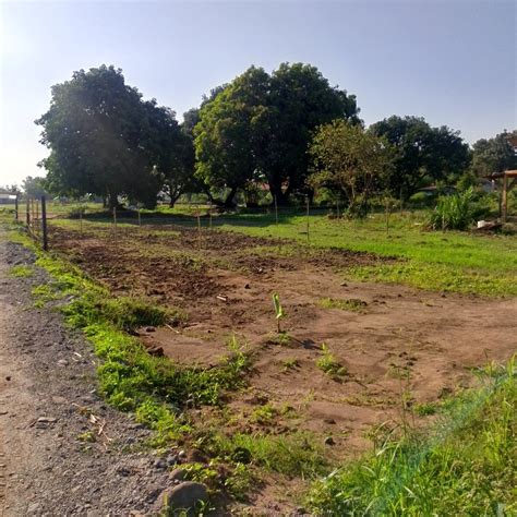pampanga lot for sale|lot for sale pampanga garage.